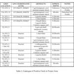 prehistoricartifacts03_web